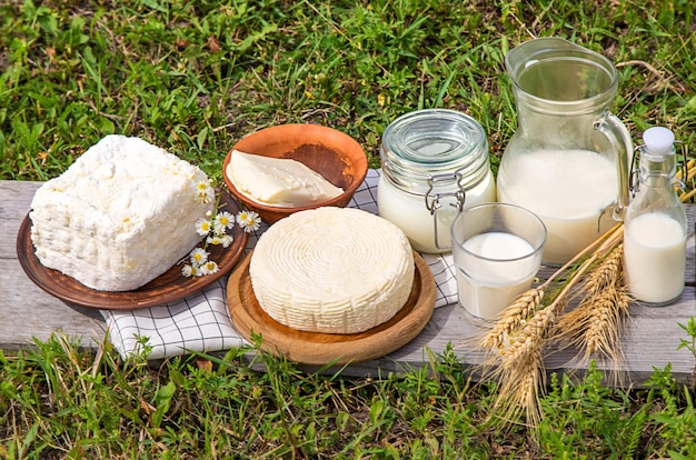 Dairy products on a cow farm Selective focus Food