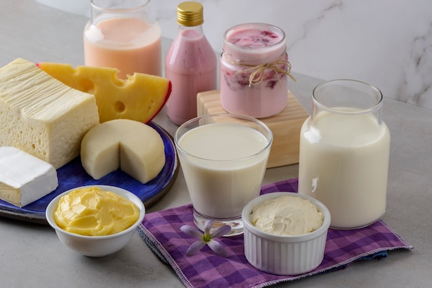 Dairy products Milk and derivatives