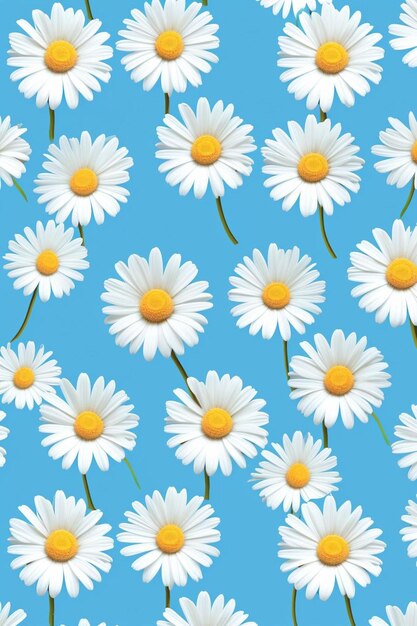 daisies on a blue background