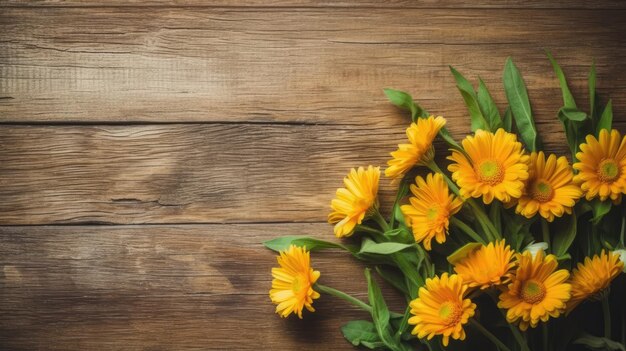 Daisies and Chamomile Flowers as Decoration Background