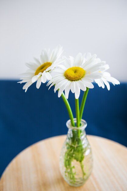 写真 古い木製のテーブルの上に花瓶のヒナギク