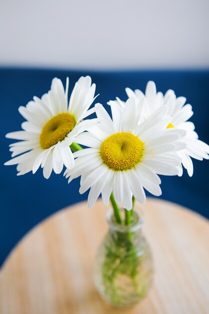 古い木製のテーブルの上に花瓶のヒナギク