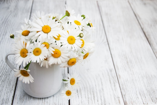 Daisies in vase