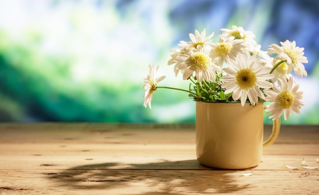 Daisies on wooden table blur nature background copy space