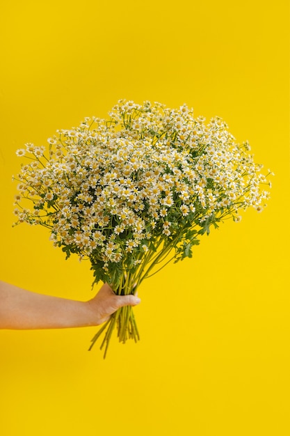 Daisy-achtige bloemen in de hand op gele achtergrond. Copyspace met bloemconcept. Trendy kleuren 2021. Close up van Tiny Chamomile Flowers verticaal