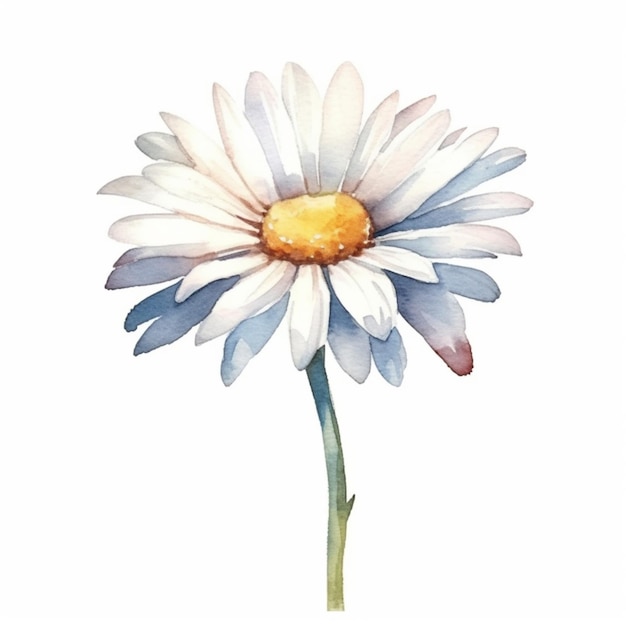 Daisy bloemen afgebeeld in een charmante aquarel afbeelding