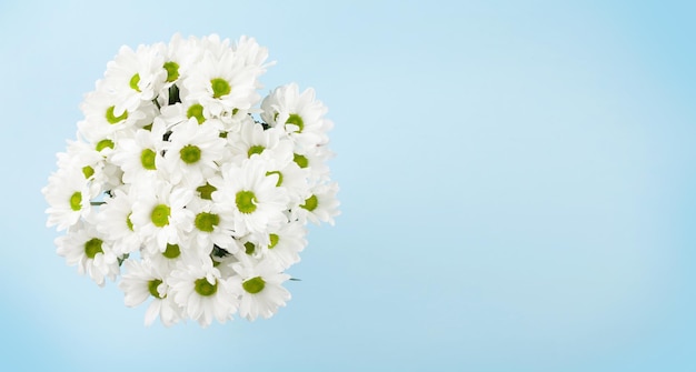 Daisy bloemen boeket