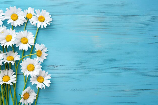 Daisy border on blue wood