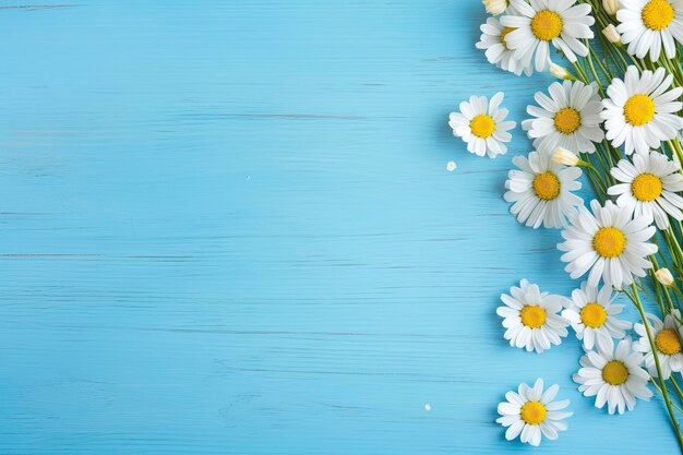 Daisy border on blue wood