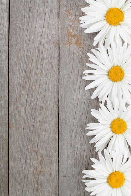 Daisy camomile flowers on wooden table background with copy space