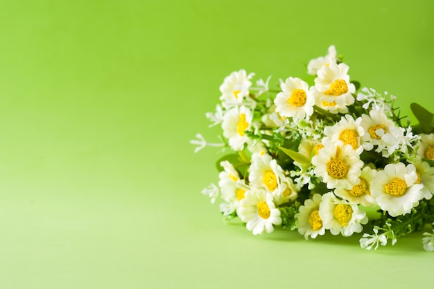 Daisy flower op groene Copyspace