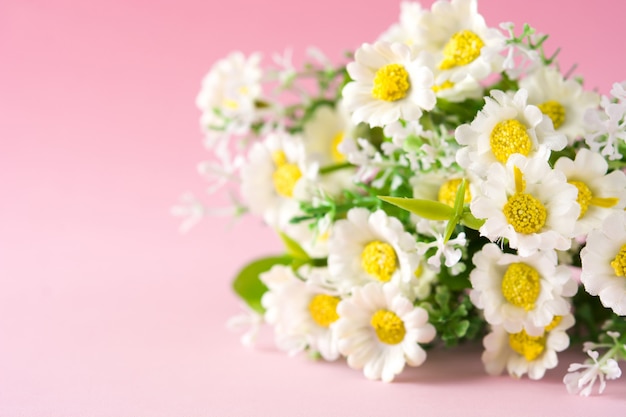 Daisy flower on pink, copyspace