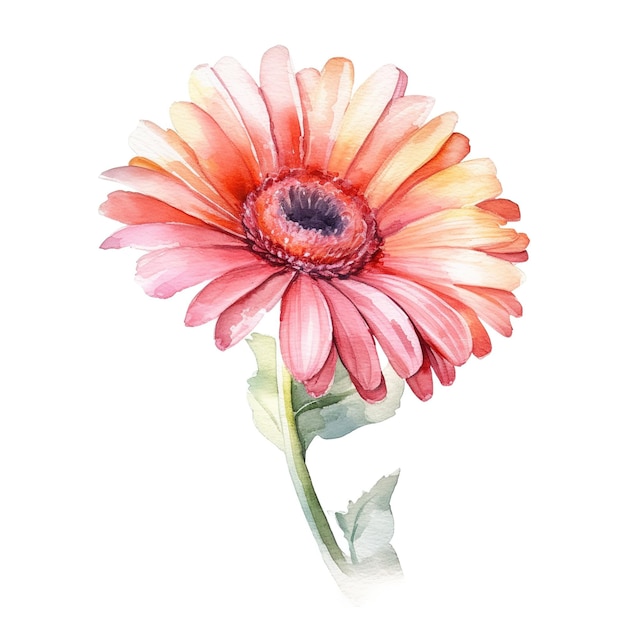 Photo daisy flower watercolor painting