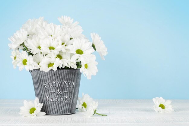 Daisy flowers bouquet