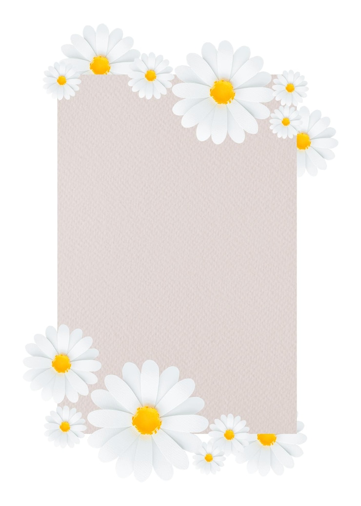 Photo daisy frame png element transparent background
