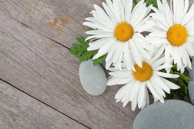 Daisy kamille bloemen en zeestenen