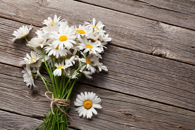 Daisy kamille bloemen op hout