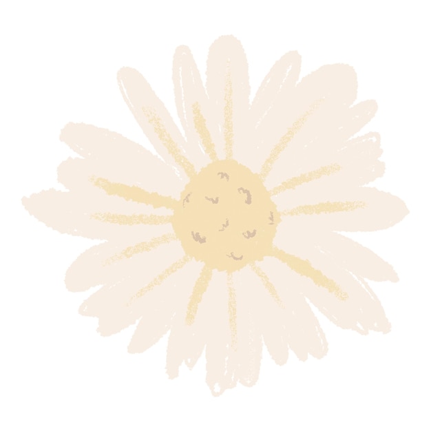 Daisy png flower sticker white illustration