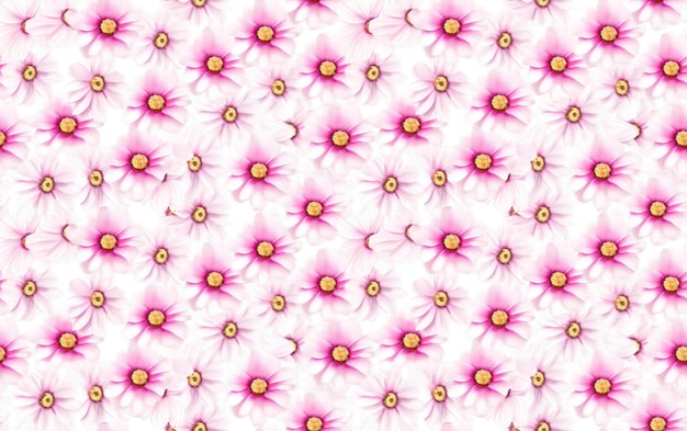 Daisy Watercolor Seamless Pattern Background