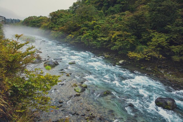 daiya-rivier in het nationale park van nikko