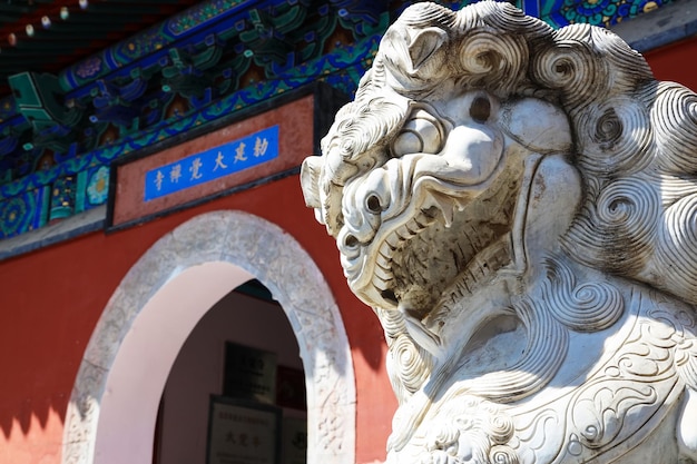 Foto tempio di dajue a pechino, cina