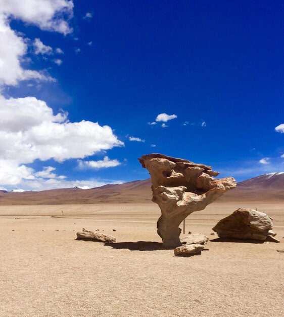 Dali desert bolivia