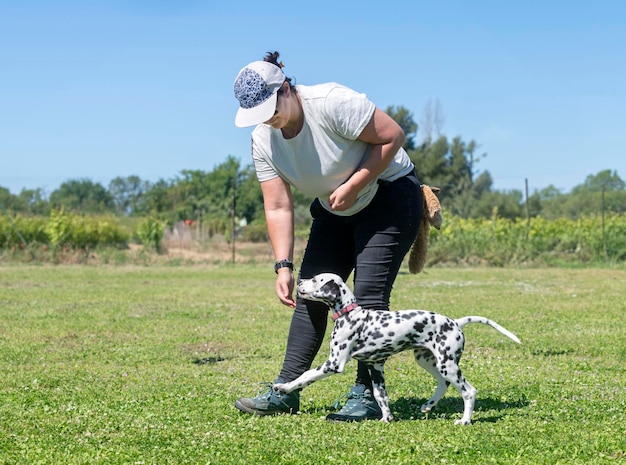 Dalmatiër en vrouw.