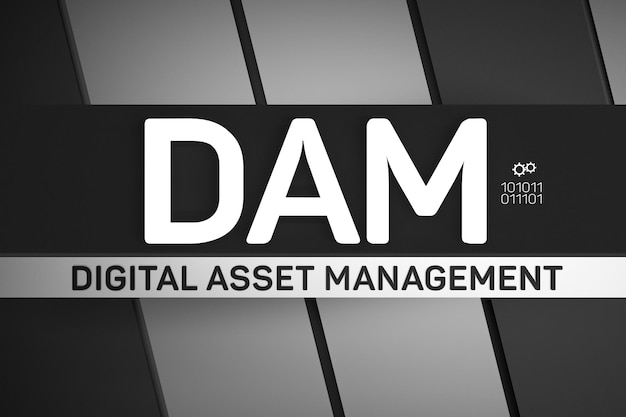 Photo dam digital asset management systemdam system digital asset management and implementation of its use 3d render