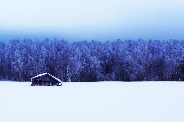 Damaged barn on snow covered field by trees against sky