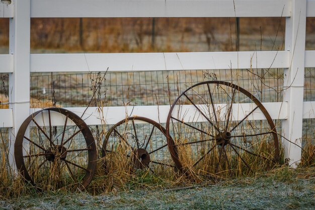 Photo damaged bicycle on field