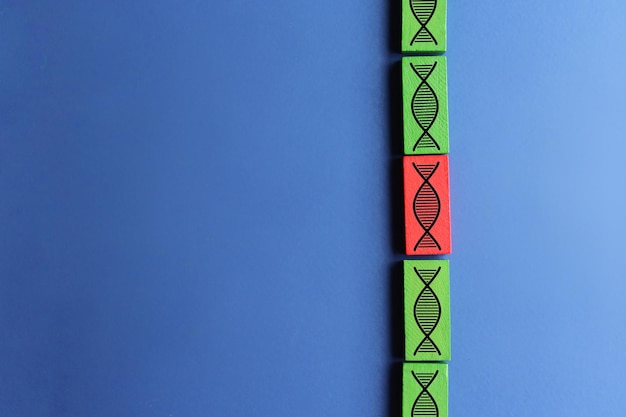 DNAの損傷部分 遺伝子変異 遺伝子異常の逸脱 親子関係の確認