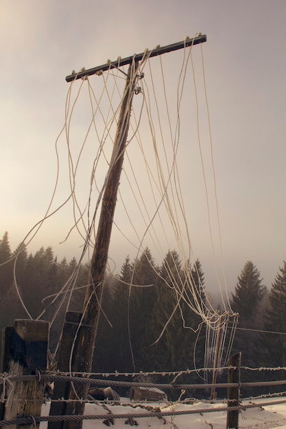 Damaged wires on the pole. Winter