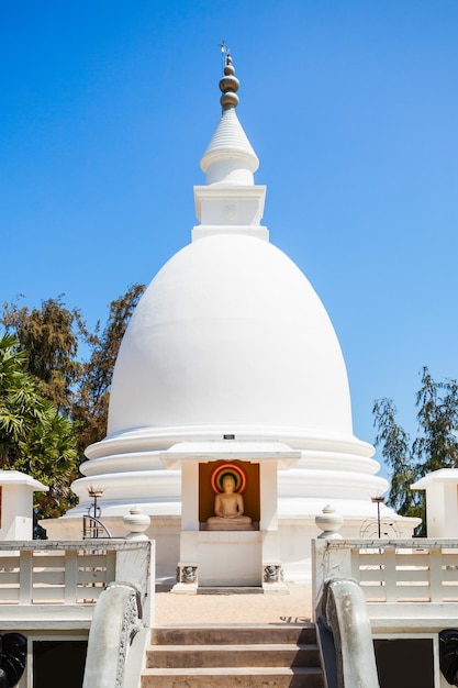 Dambakola Patuna Sri Sangamitta Viharaya Temple is a buddhist temple near Jaffna, Sri Lanka