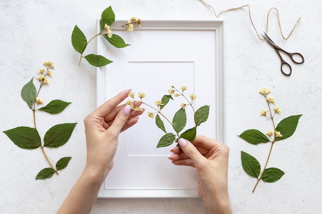 Dames handen versieren een herbarium van bloemen in een lijst voor foto's. botanische illustraties in woondecoratie. plat lag. witte betonnen achtergrond