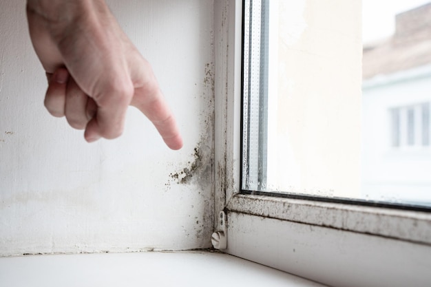 The damp is attacking the wall and window. Black mold buildup. High humidity