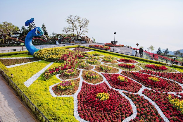 Danang, Vietnam February - 21, 2019: Flower garden with many kind of colorful flower in Ba Na Hills mountain resort