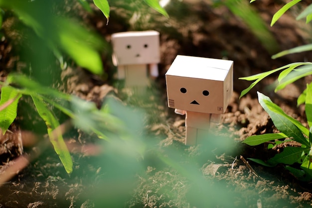 Foto danbo - een liefdesverhaal