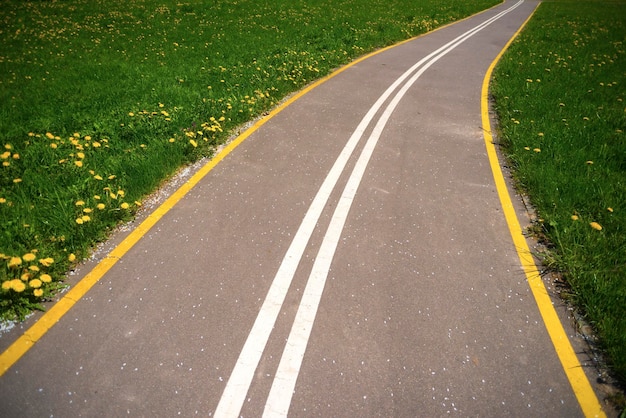 Foto strada del campo del dente di leone