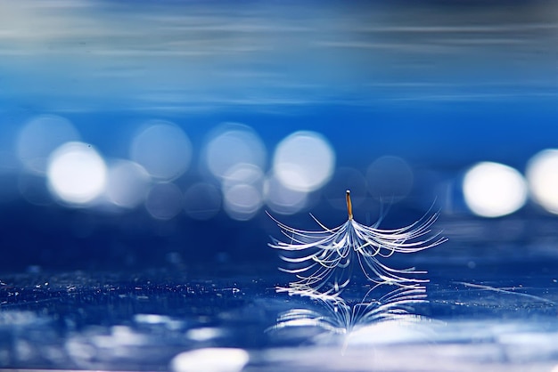 水色の背景にタンポポの種、明るさ、休日