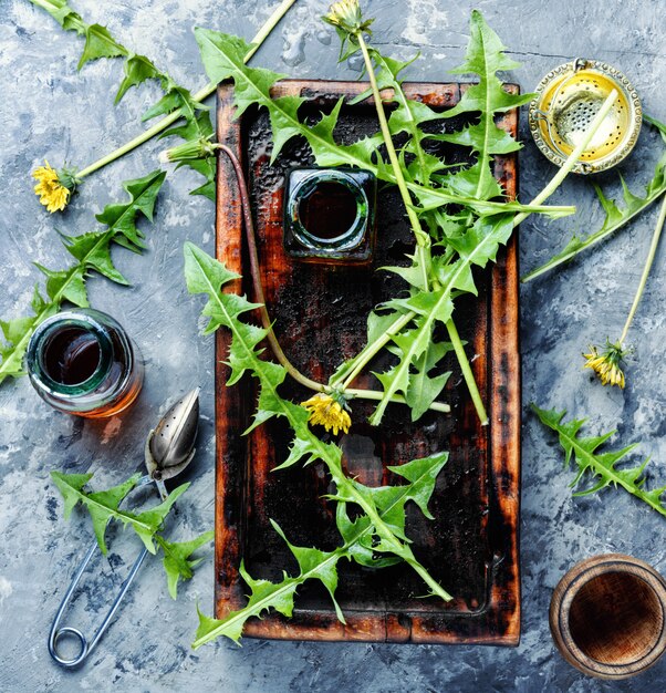 Dandelion tincture in bottle