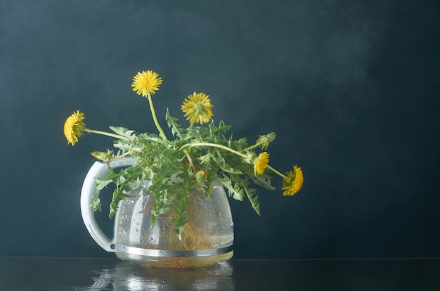 Dandelion with roots and leaves in a glass teapot on a dark in smoke