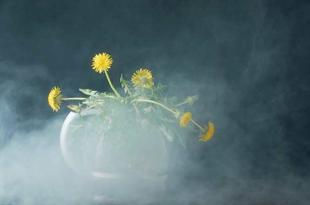Dandelion with roots and leaves in a glass teapot
