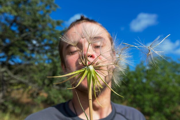 Dandelion