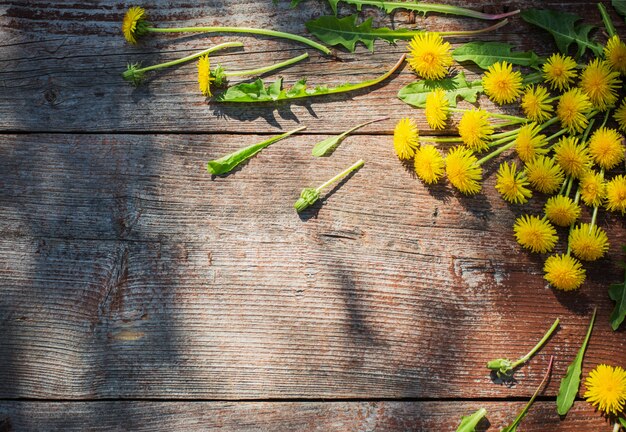 Dandelions on old wooden background