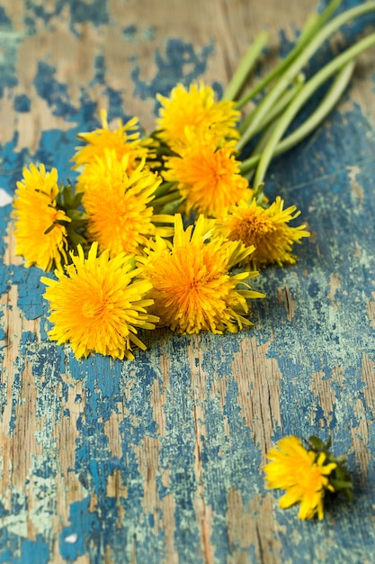 Dandelions on rustic wooden surface