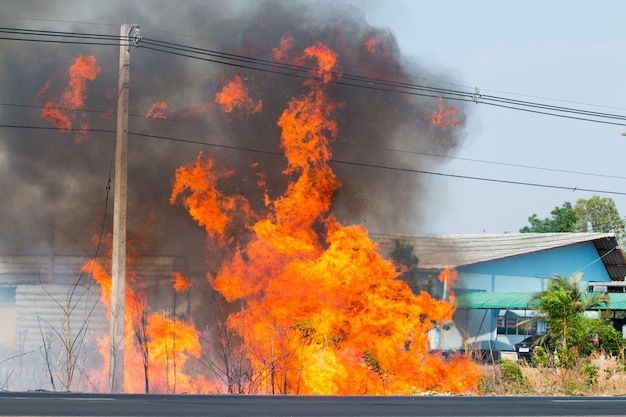 Photo danger of fire, roadside trees, electric wires, many black smoke floating in the sky