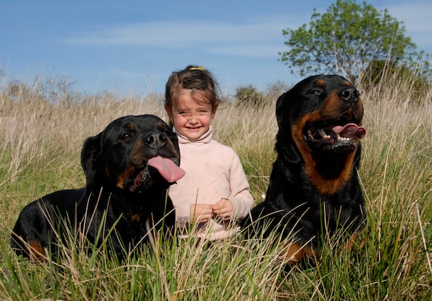 Dangerous dogs and child