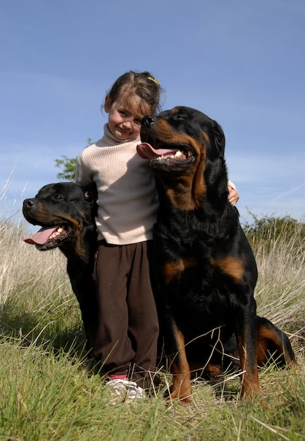 危険な犬と子供