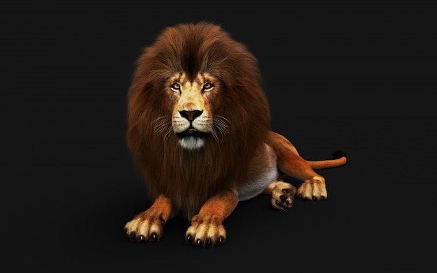 Photo dangerous lion isolated on black , with clipping path