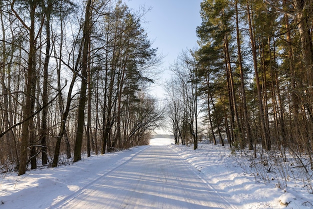 Dangerous road in winter after snowfall